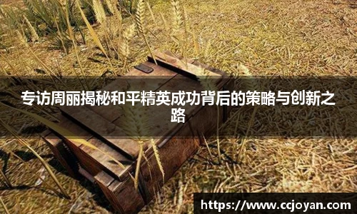 专访周丽揭秘和平精英成功背后的策略与创新之路