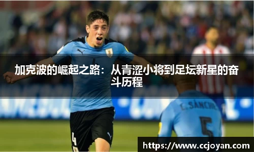 米乐yy易游体育
